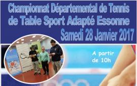 Championnat départemental tennis de table 91