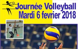 Journée de découverte - Volley sport adapté 